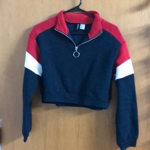 Tommy Hilfiger lookalike cropped hoodie
